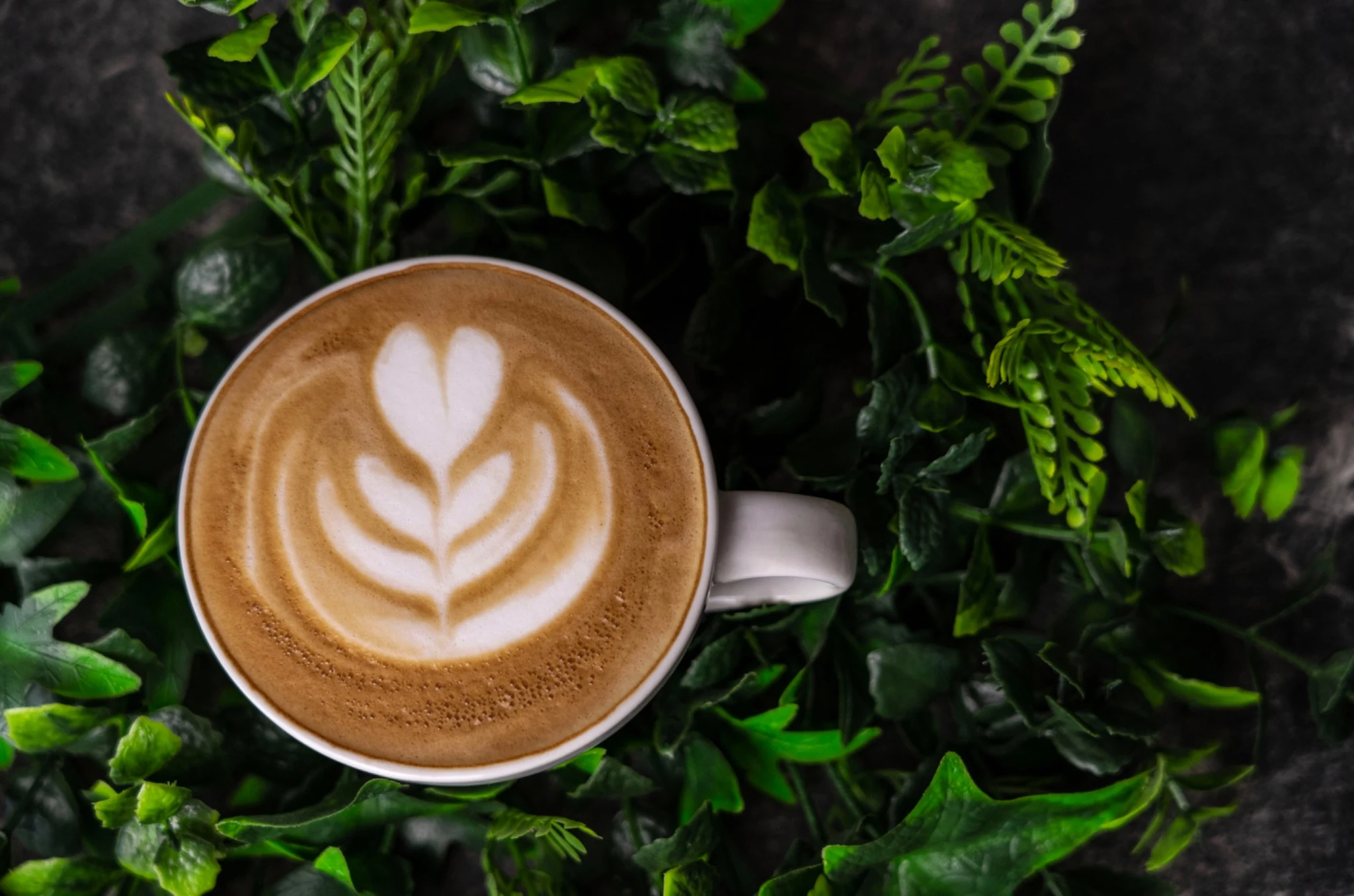Latte art kávé zöld növények között
